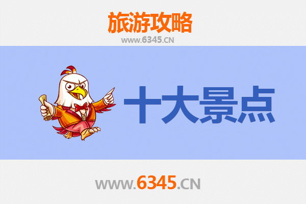 从新北树林出发的广州塔极致之旅：交通、行程与打卡全攻略