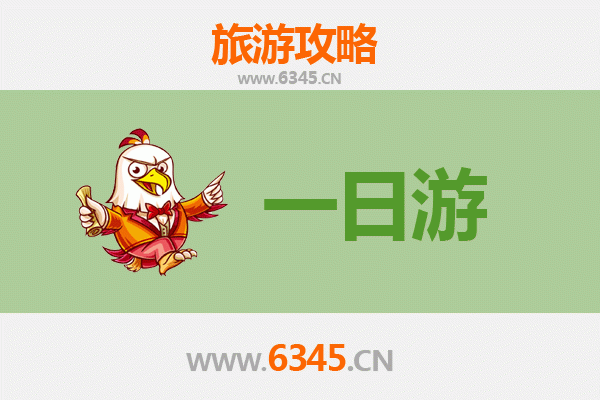 新北树林出发：张家界仙境之旅全攻略