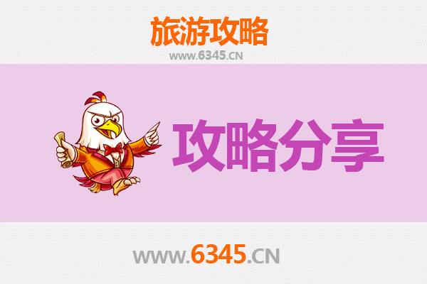 新北树林出发：湄洲岛朝圣与海岛风情全攻略