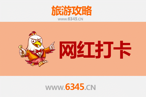 从新北树林出发：丽江古城深度旅游全攻略